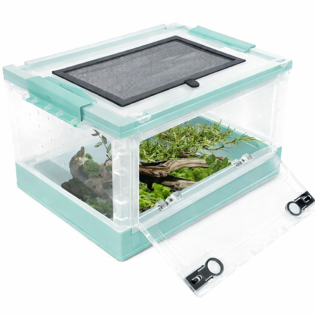 Terrarium pour phasmes – Plastic vertical léger