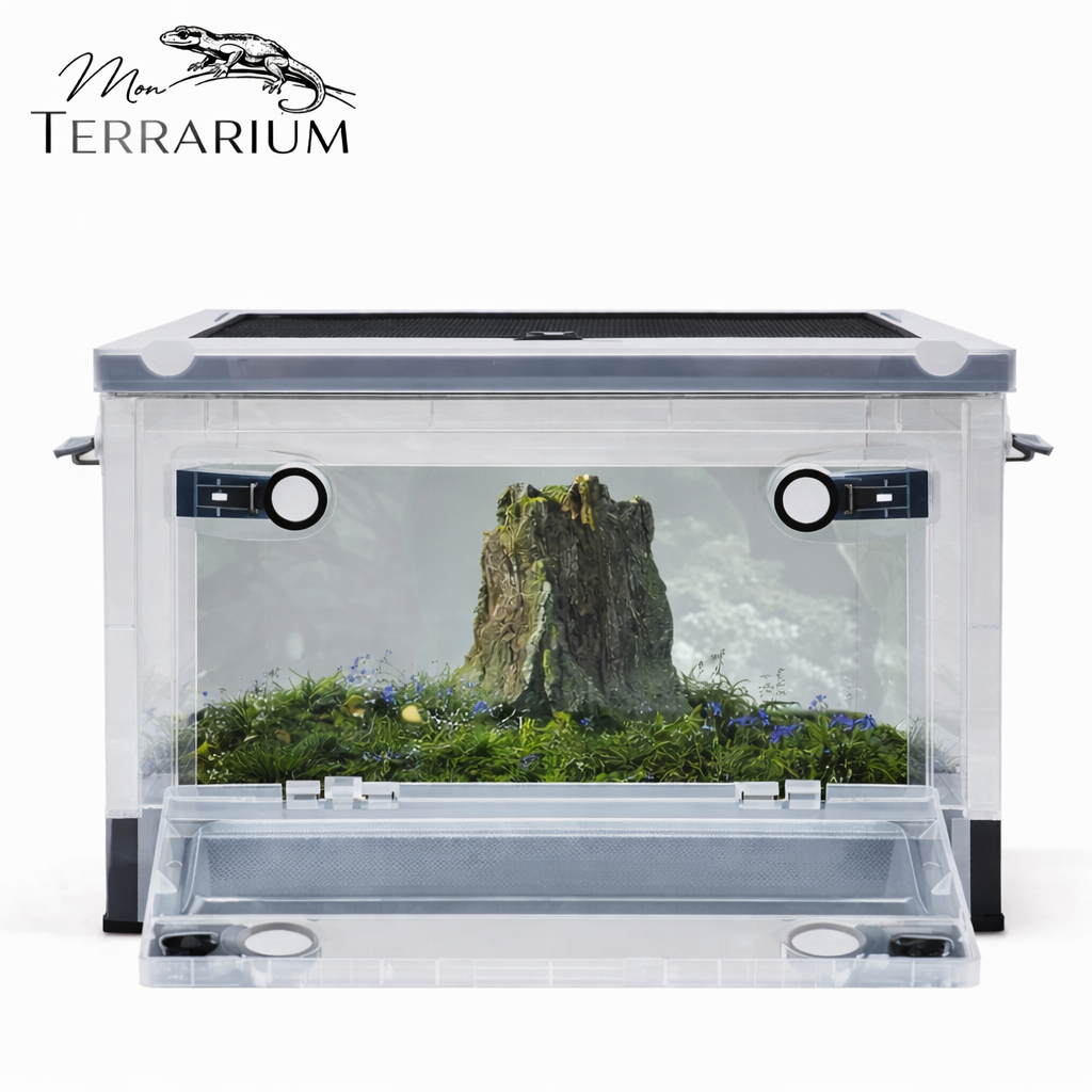 Terrarium pour phasmes – Plastic vertical léger