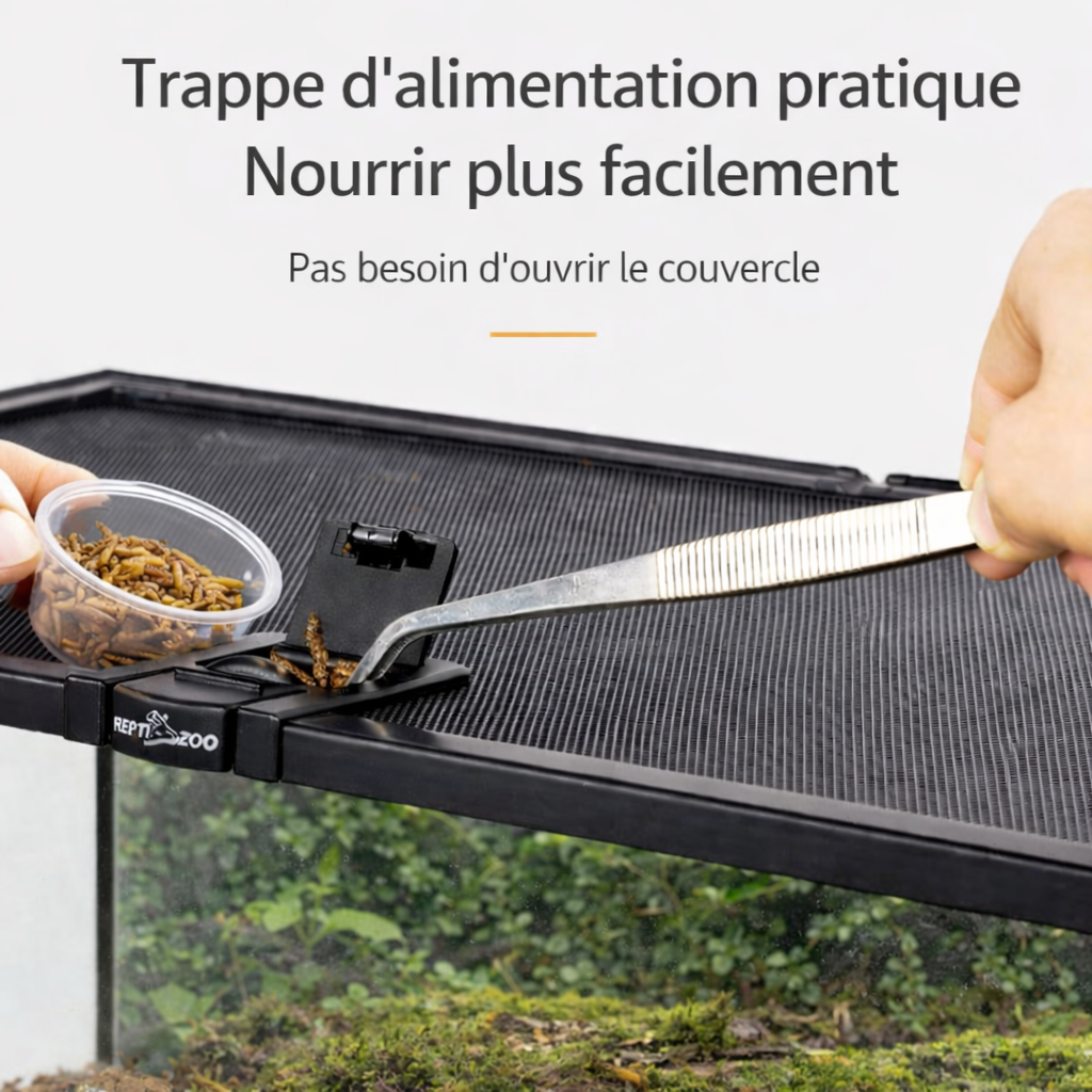 Terrarium pour phasmes – Verre ventilé vertical