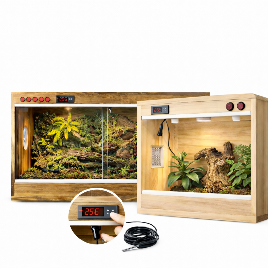Terrarium pour phasmes – Bois vertical ventilé
