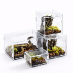 Terrarium pour escargots – Acrylique clair respirant