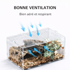 Terrarium pour escargots – Acrylique clair respirant