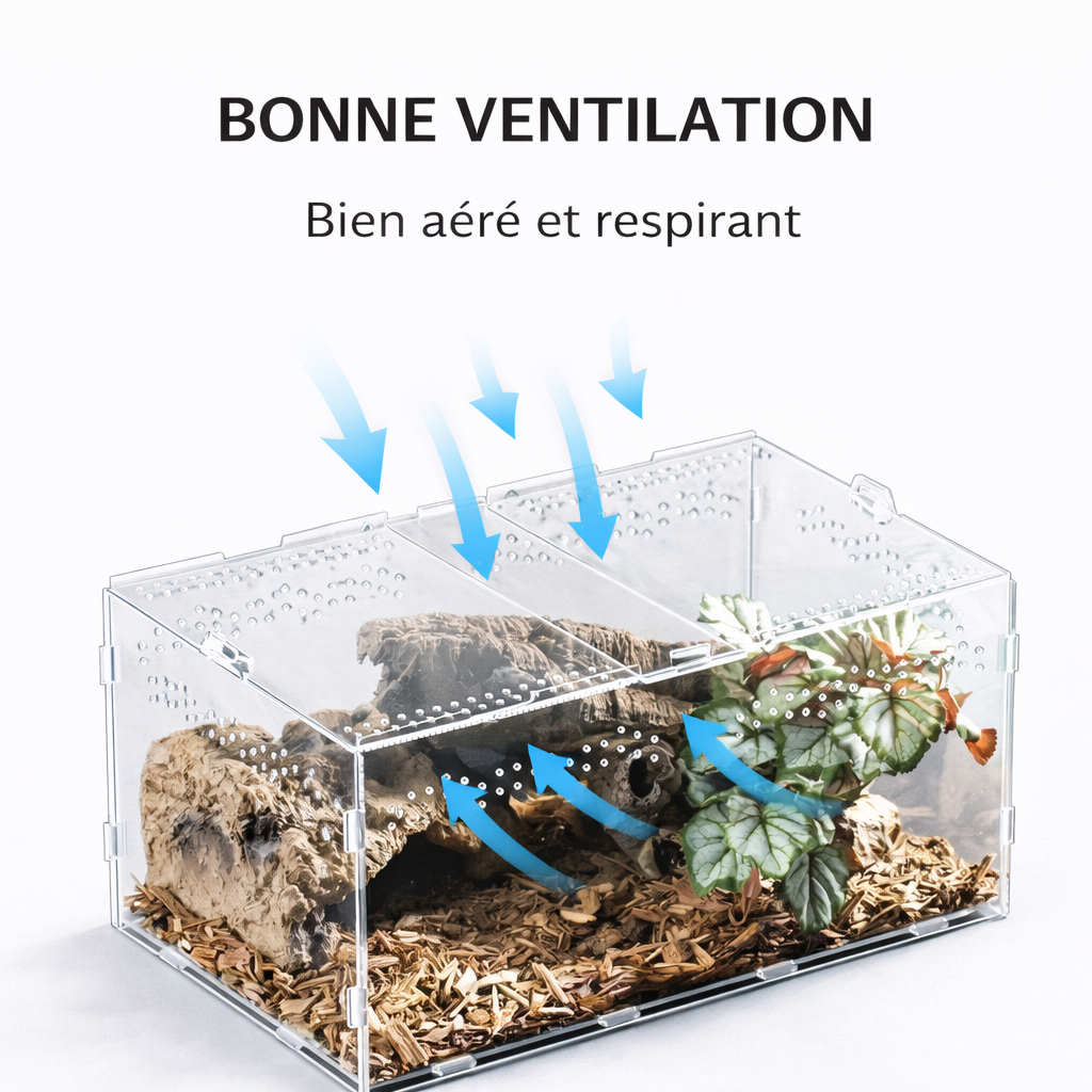 Terrarium pour phasmes – Acrylique haut ventilé