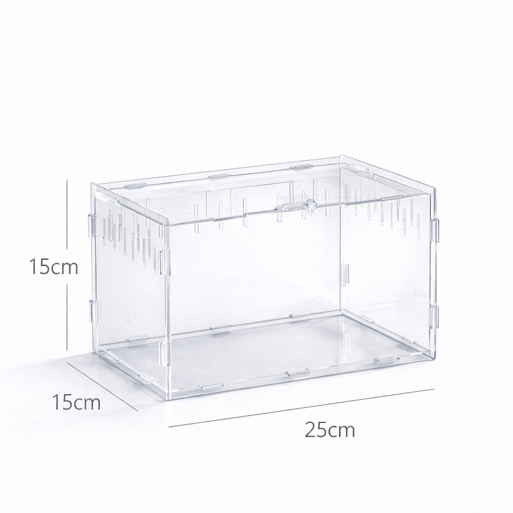 Terrarium pour phasmes – Acrylique haut ventilé