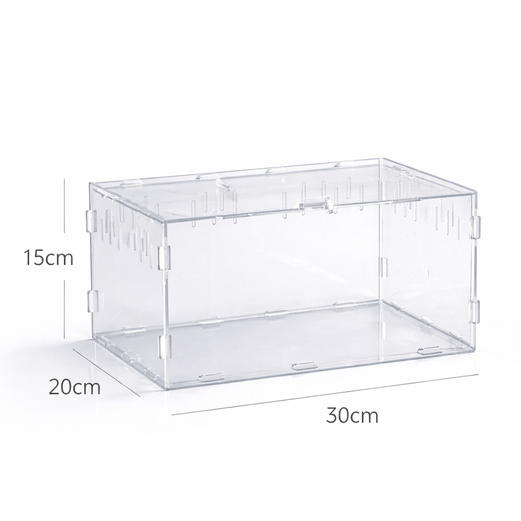 Terrarium pour escargots – Acrylique clair respirant
