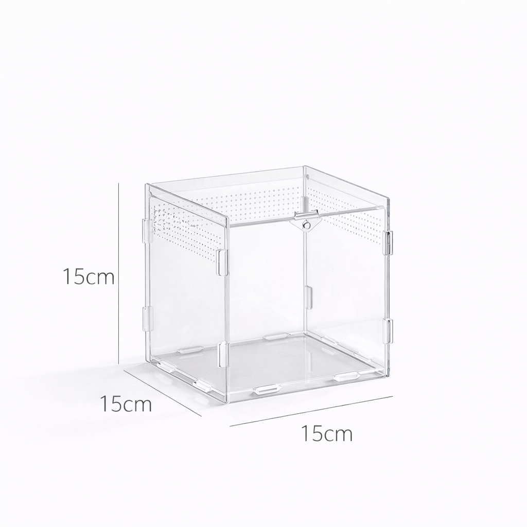 Terrarium pour escargots – Acrylique clair respirant