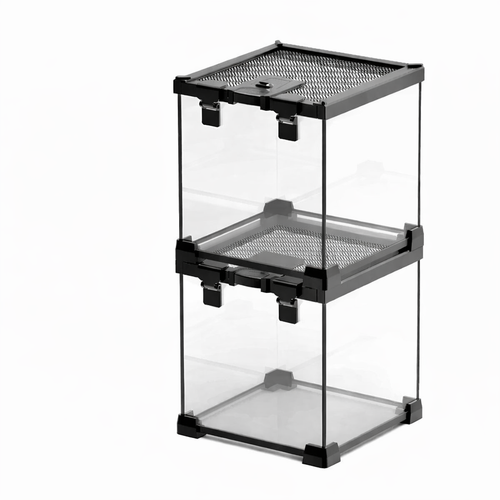 Terrarium pour escargots – Verre clair humide