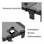 Terrarium pour phasmes – Verre haut respirant