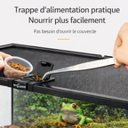 Terrarium pour grenouilles – Verre jungle tropical