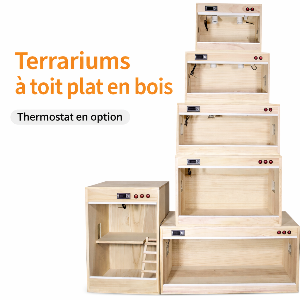 Terrarium pour phasmes – Bois vertical ventilé