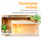 Terrarium pour grenouilles – Bois tropical tempéré