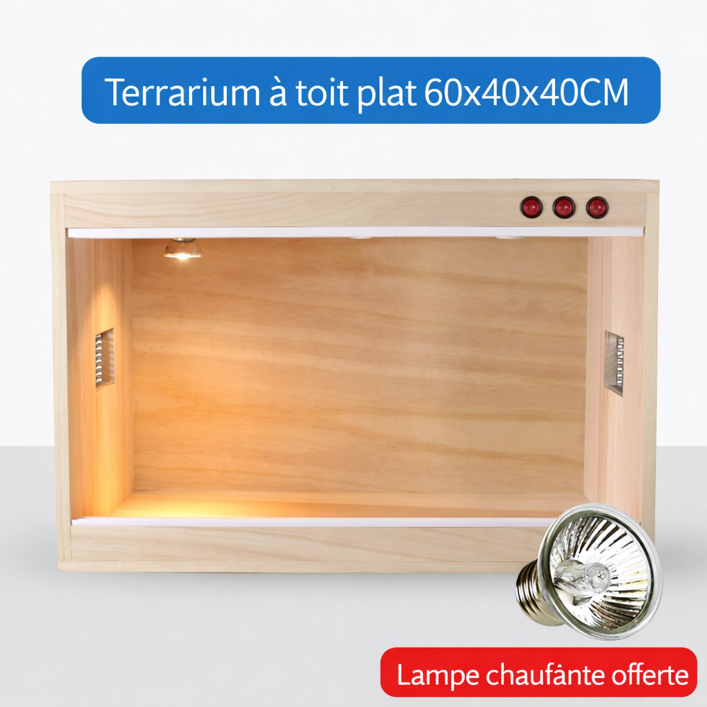 Terrarium pour phasmes – Bois vertical ventilé