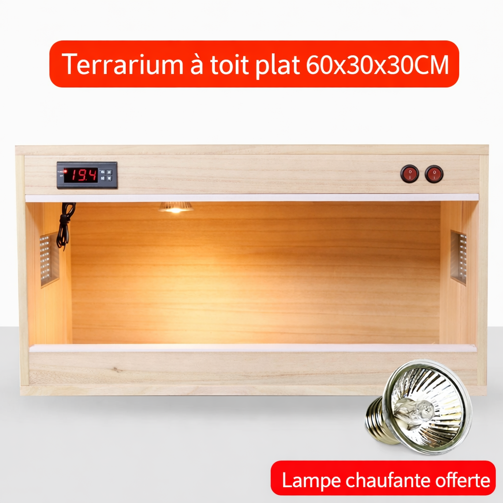 Terrarium pour phasmes – Bois vertical ventilé