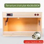 Terrarium pour phasmes – Bois vertical ventilé
