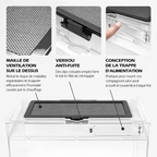 Terrarium pour phasmes – Plastic léger sécurisé