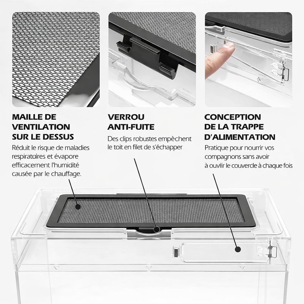Terrarium pour phasmes – Plastic léger sécurisé