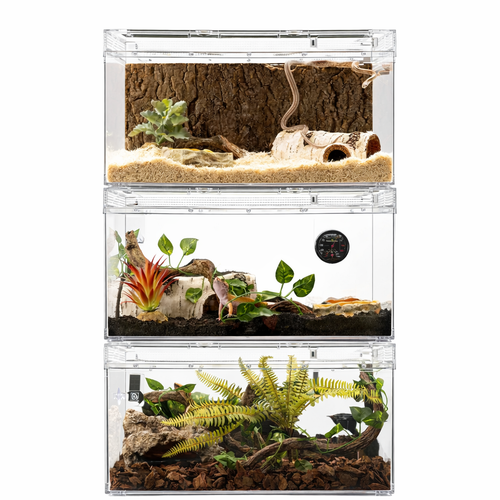 Terrarium pour escargots – Plastic fermé humide