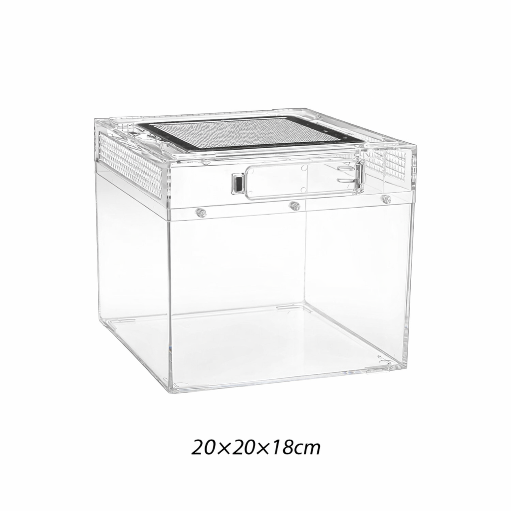 Terrarium pour phasmes – Plastic léger sécurisé