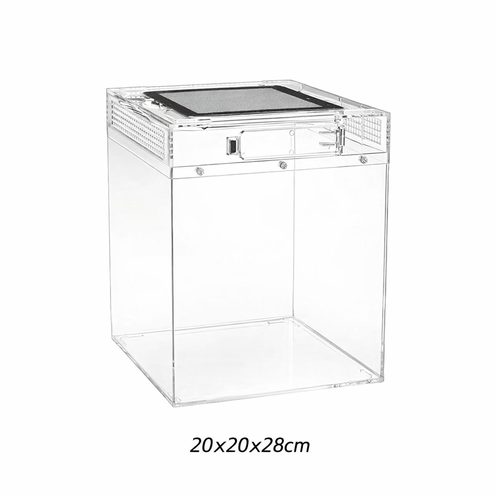 Terrarium pour phasmes – Plastic léger sécurisé