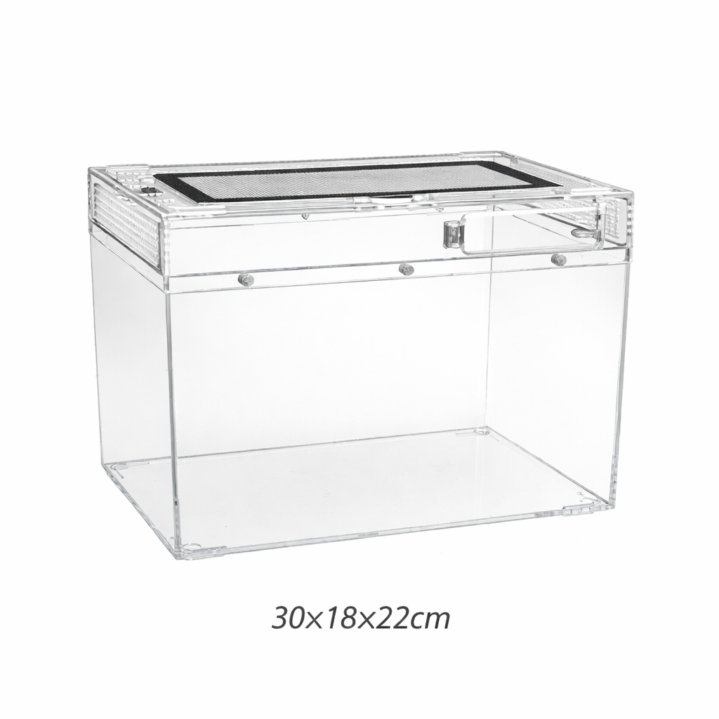 Terrarium pour phasmes – Plastic léger sécurisé