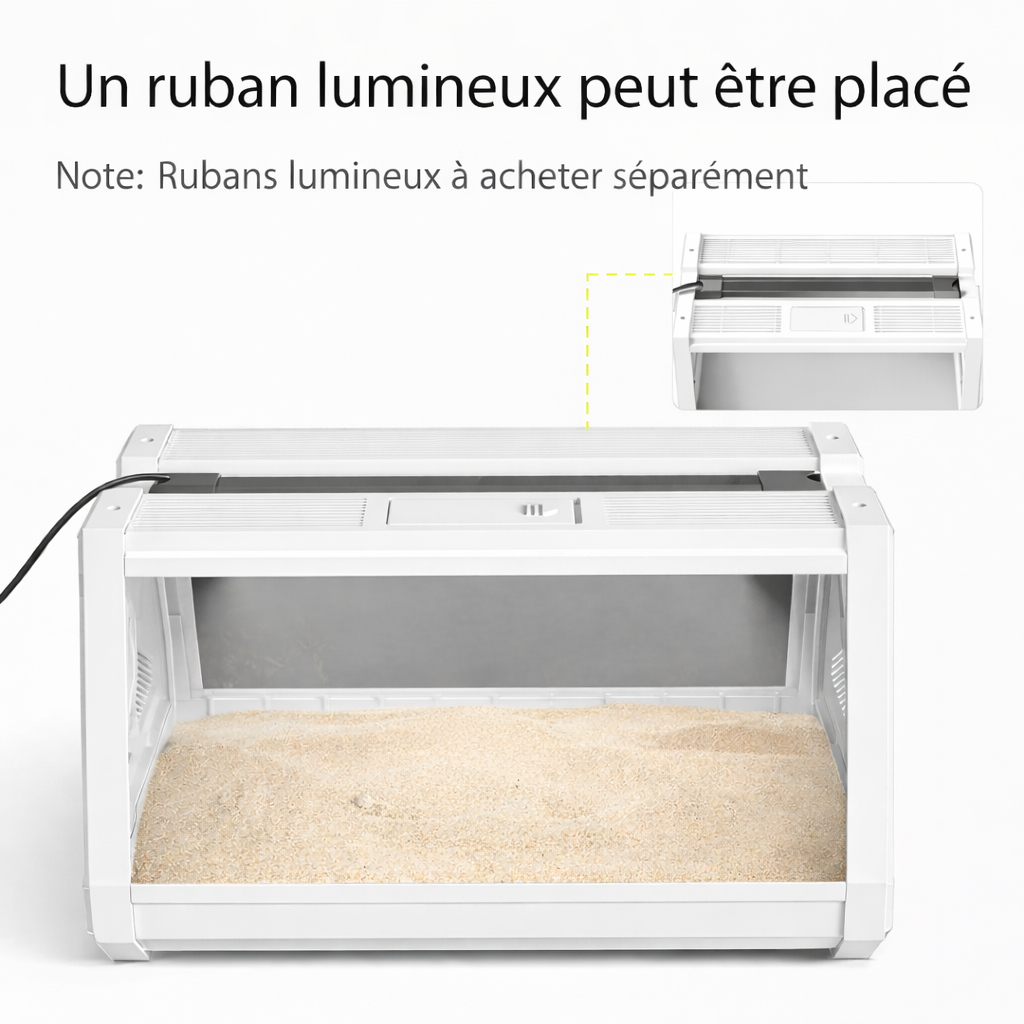 Terrarium phasmes – Mini habitat aéré