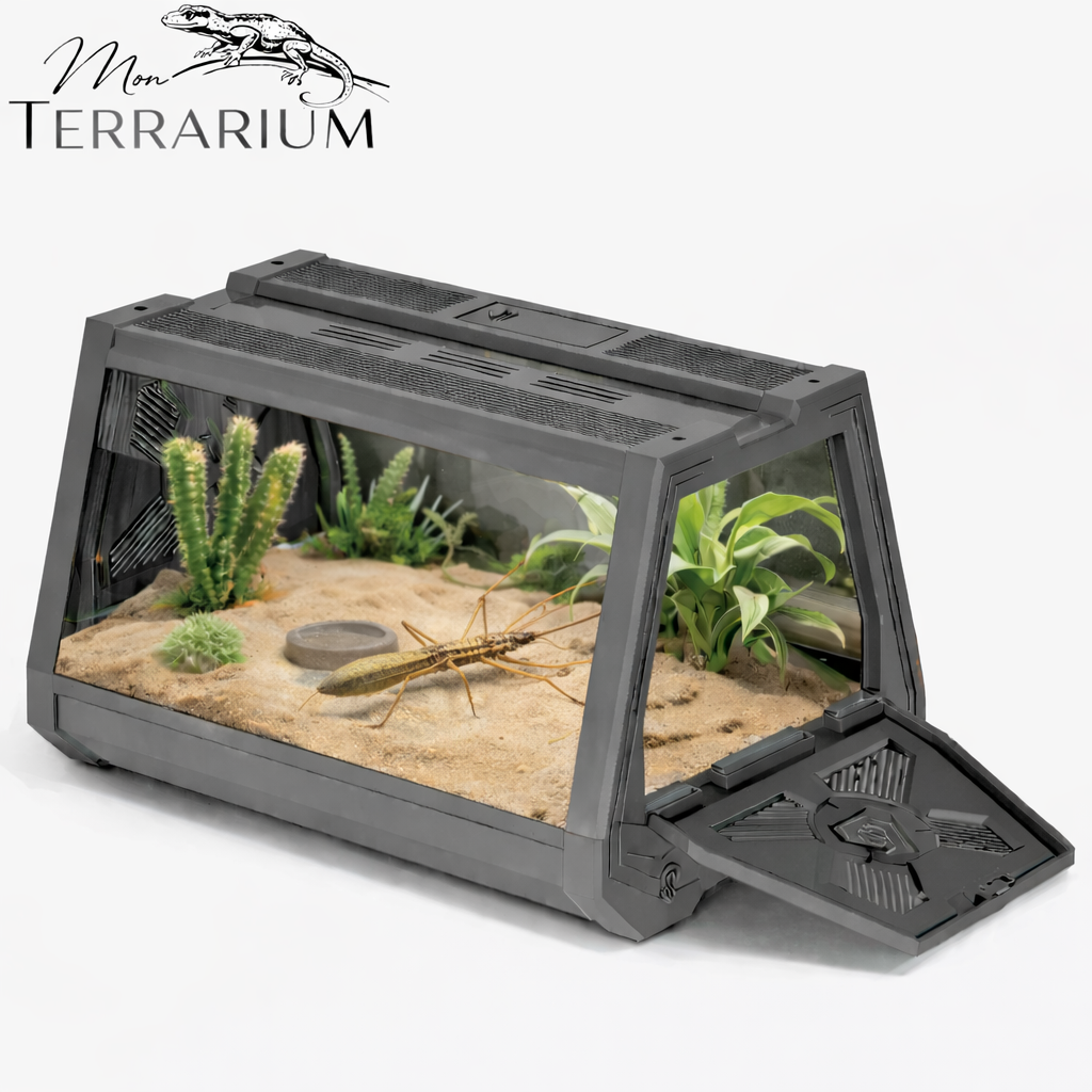 Terrarium phasmes – Mini habitat aéré