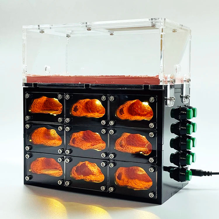 Terrarium pour fourmis – Élite modulaire éclairé