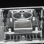 Terrarium pour fourmis – Acrylique plâtre écologique