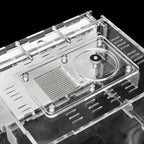 Terrarium pour fourmis – Acrylique plâtre écologique