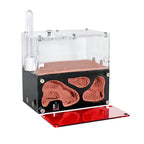 Terrarium pour fourmis – Acrylique rouge naturel