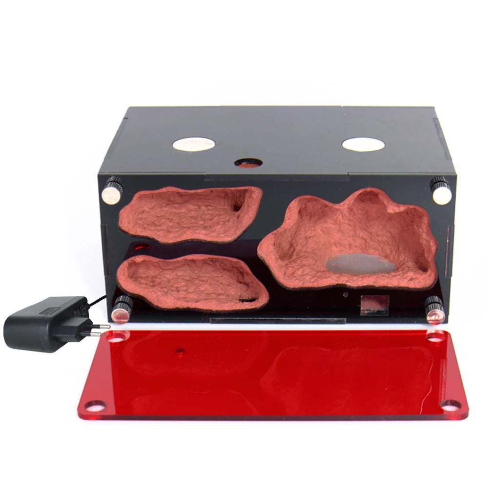 Terrarium pour fourmis – Acrylique rouge naturel