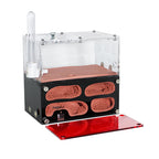 Terrarium pour fourmis – Acrylique rouge naturel