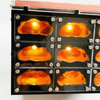 Terrarium pour fourmis – Élite modulaire éclairé