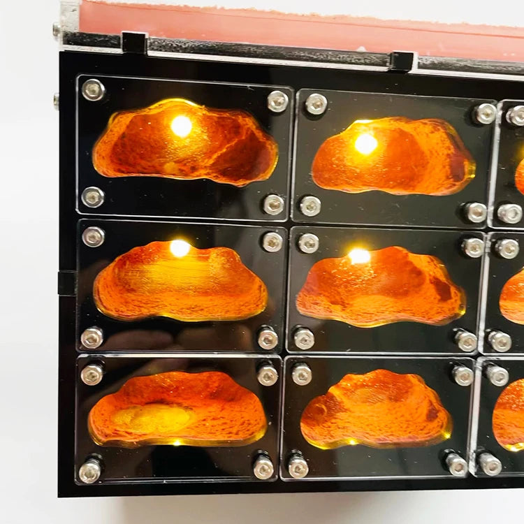 Terrarium pour fourmis – Élite modulaire éclairé