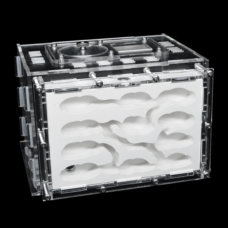 Terrarium pour fourmis – Acrylique plâtre écologique