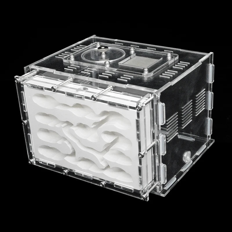 Terrarium pour fourmis – Acrylique plâtre écologique