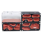 Terrarium pour fourmis – Acrylique rouge naturel