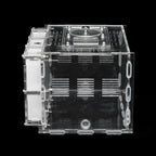 Terrarium pour fourmis – Acrylique plâtre écologique