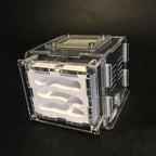 Terrarium pour fourmis – Acrylique plâtre écologique