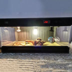 Terrarium pour gecko à crête – PVC grimpant chauffé