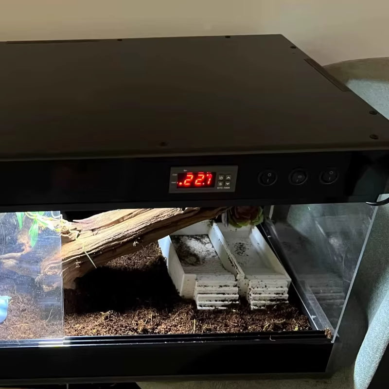Terrarium pour gecko à crête – PVC grimpant chauffé