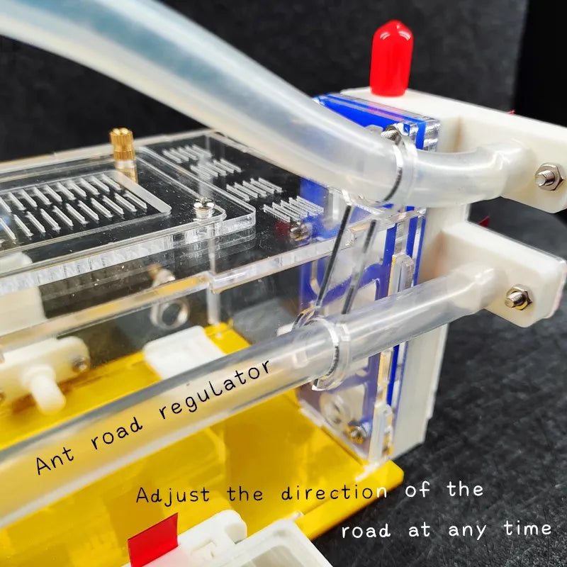 Terrarium pour fourmis – Acrylique galerie modulaire