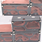 Terrarium pour fourmis – Acrylique rouge naturel