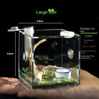 Terrarium pour phasmes – Acrylique clair vertical