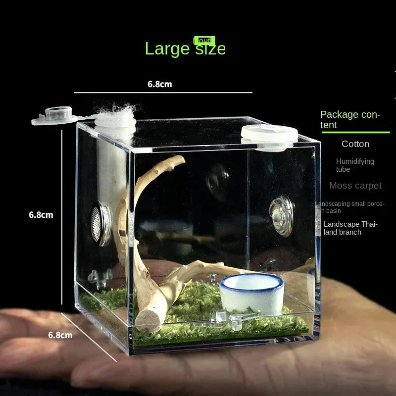 Terrarium pour phasmes – Acrylique clair vertical