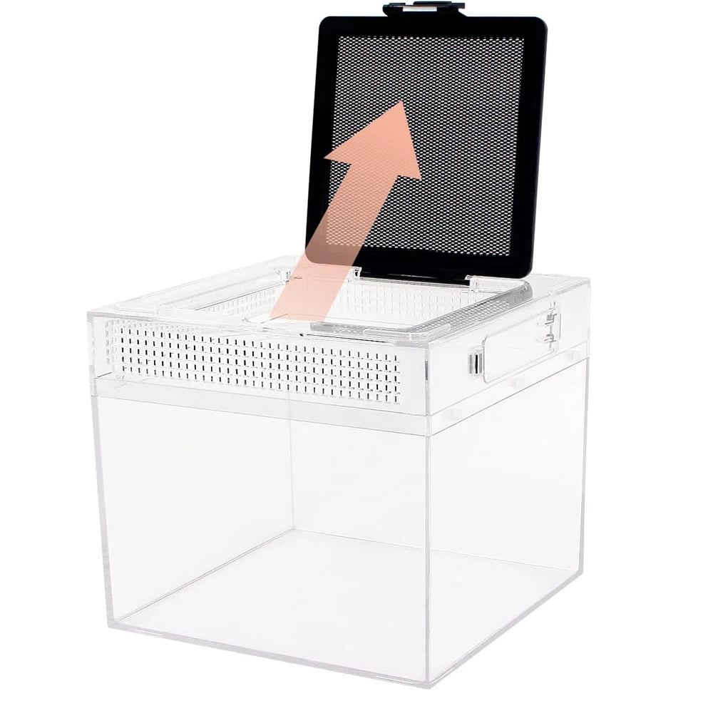 Terrarium pour gecko à crête – Plastic vertical clair