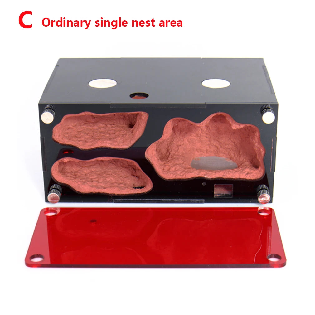 Terrarium pour fourmis – Acrylique rouge naturel