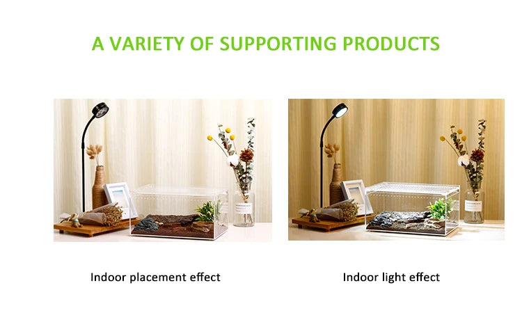 Terrarium pour phasmes – Acrylic léger aéré