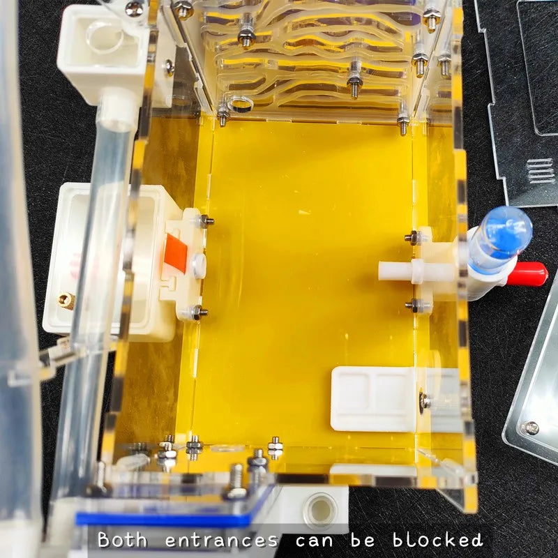 Terrarium pour fourmis – Acrylique galerie modulaire