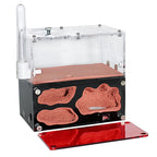 Terrarium pour fourmis – Acrylique rouge naturel